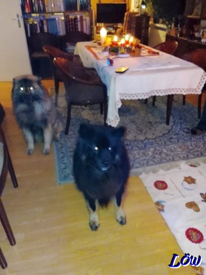 24.12.2025 - In freudiger Erwartung